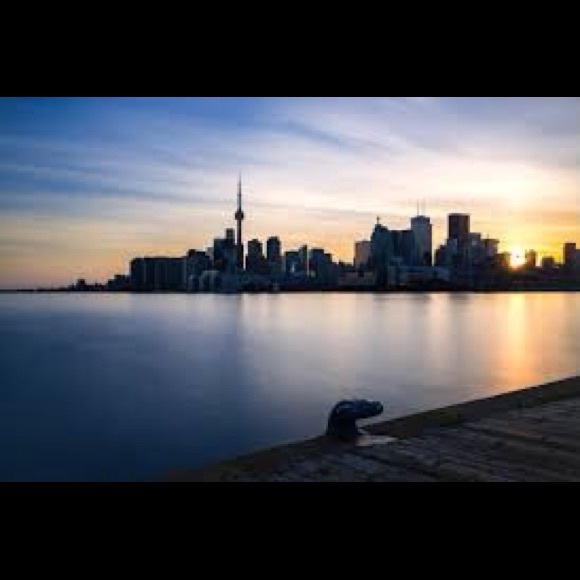 Meet your Posher, Eloise - Picture 11 of 12